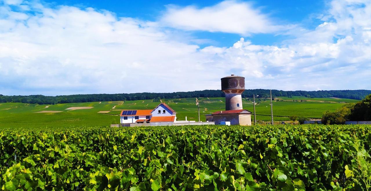 Bed and Breakfast Au Bouchon Champenois Bouzy Zewnętrze zdjęcie